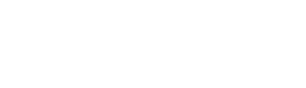 American Wings Flight Academy logo (horizontal white)
